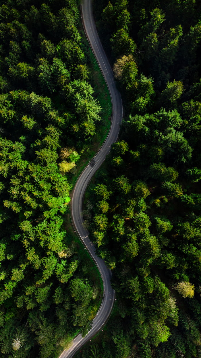 Bird's eye view image of a curvy road surrounded by trees.